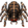Cave spider